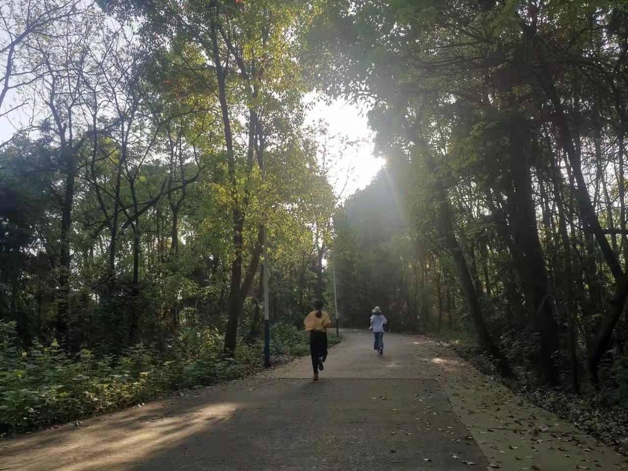 BETVLCTOR伟德在线