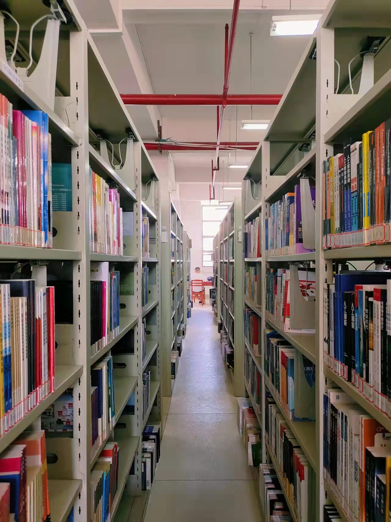 BETVLCTOR伟德在线