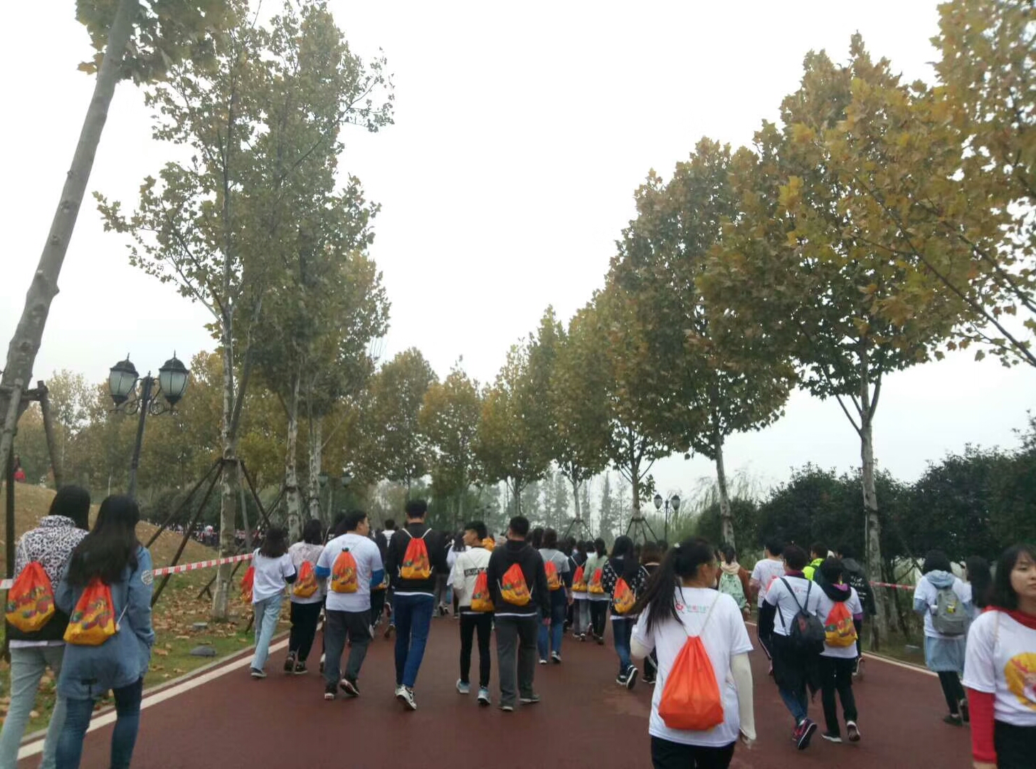 BETVLCTOR伟德在线