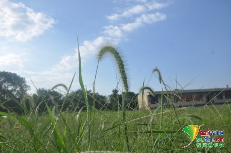 BETVLCTOR伟德在线