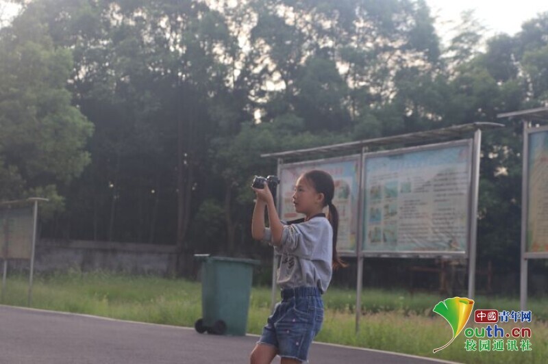 BETVLCTOR伟德在线