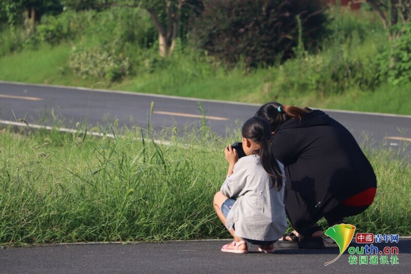 BETVLCTOR伟德在线