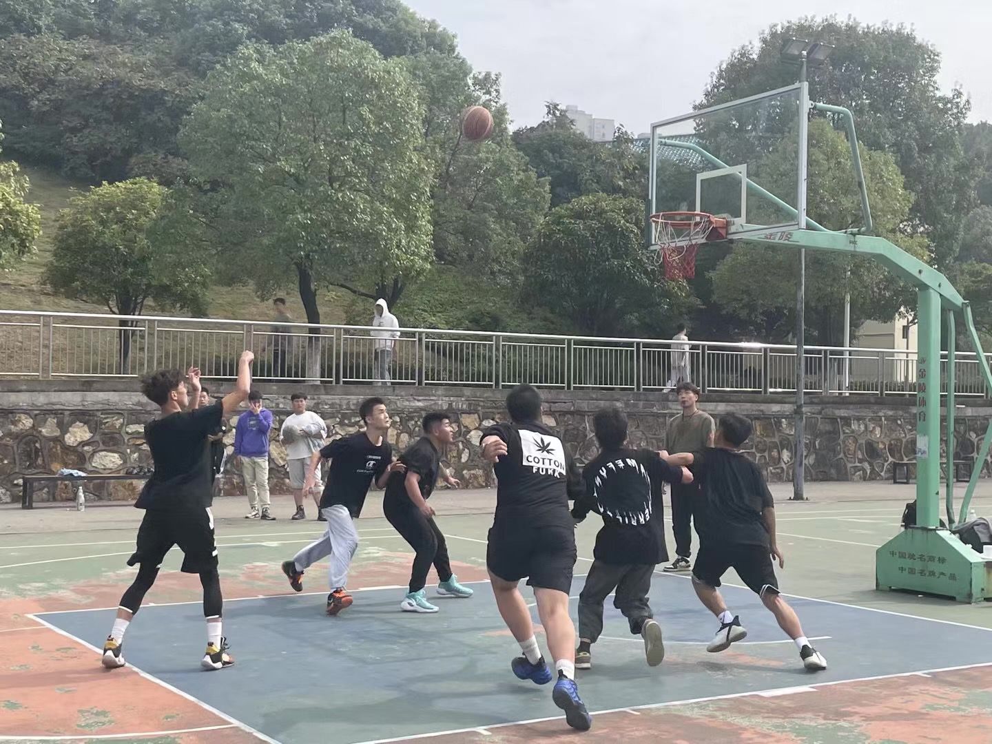 BETVLCTOR伟德在线