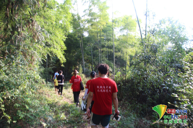 BETVLCTOR伟德在线