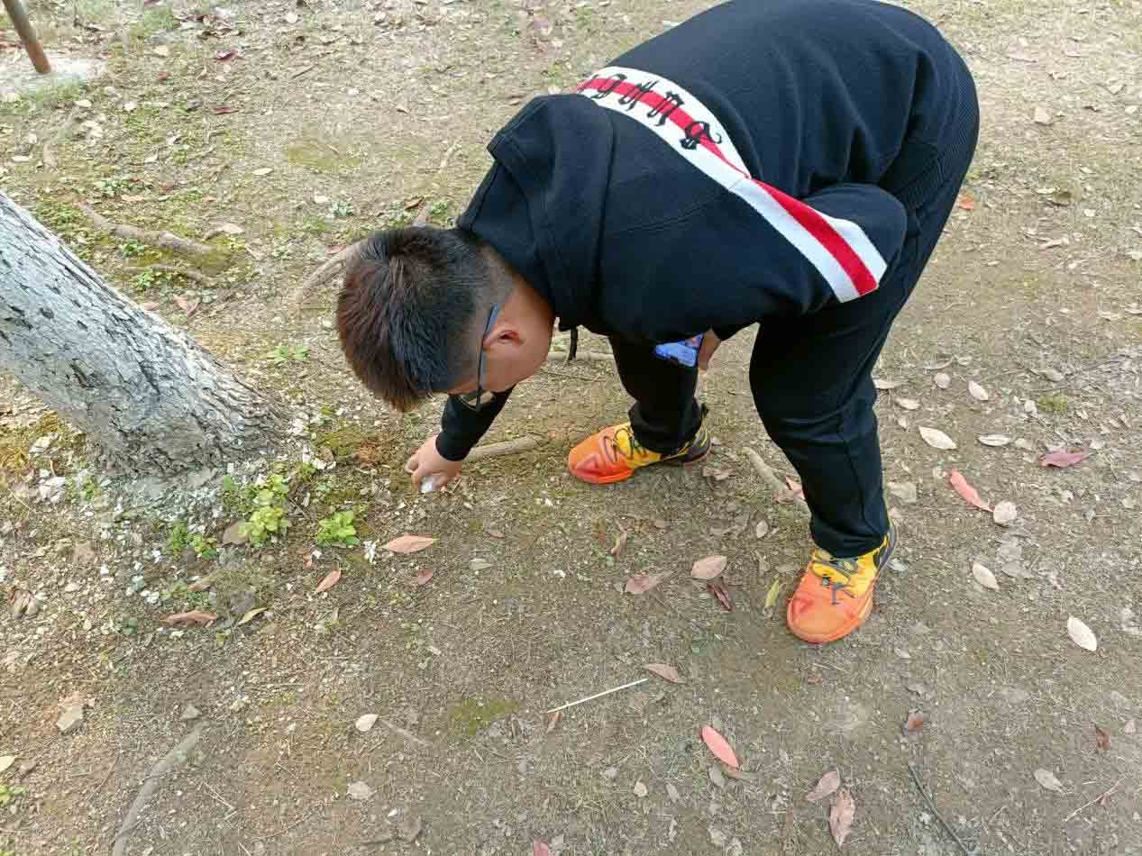 BETVLCTOR伟德在线