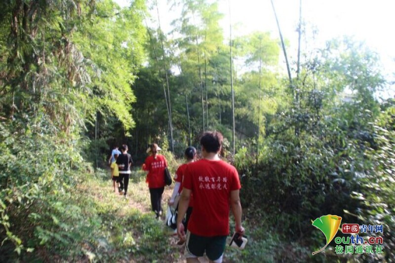 BETVLCTOR伟德在线