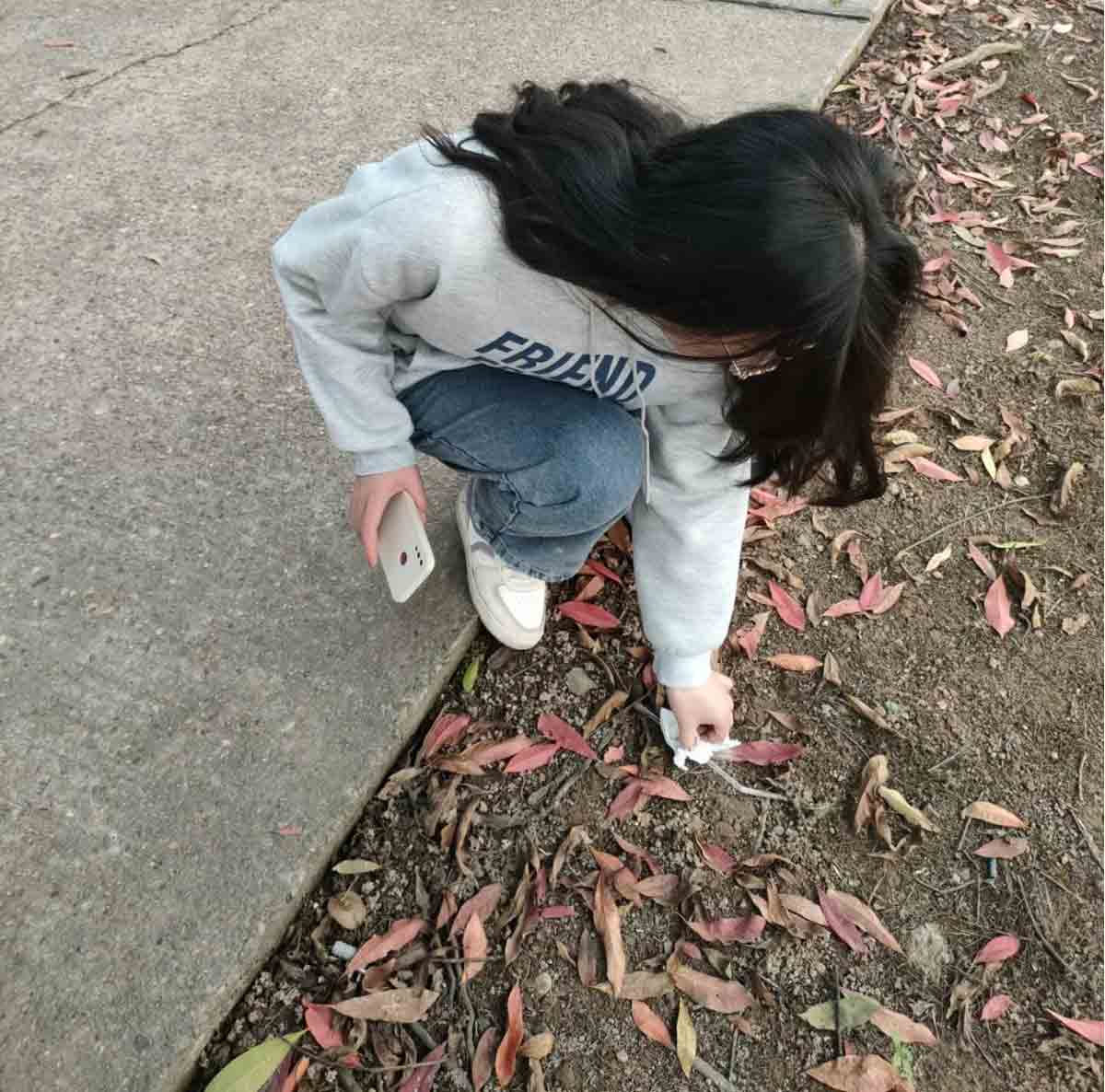 BETVLCTOR伟德在线