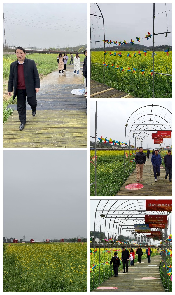 BETVLCTOR伟德在线