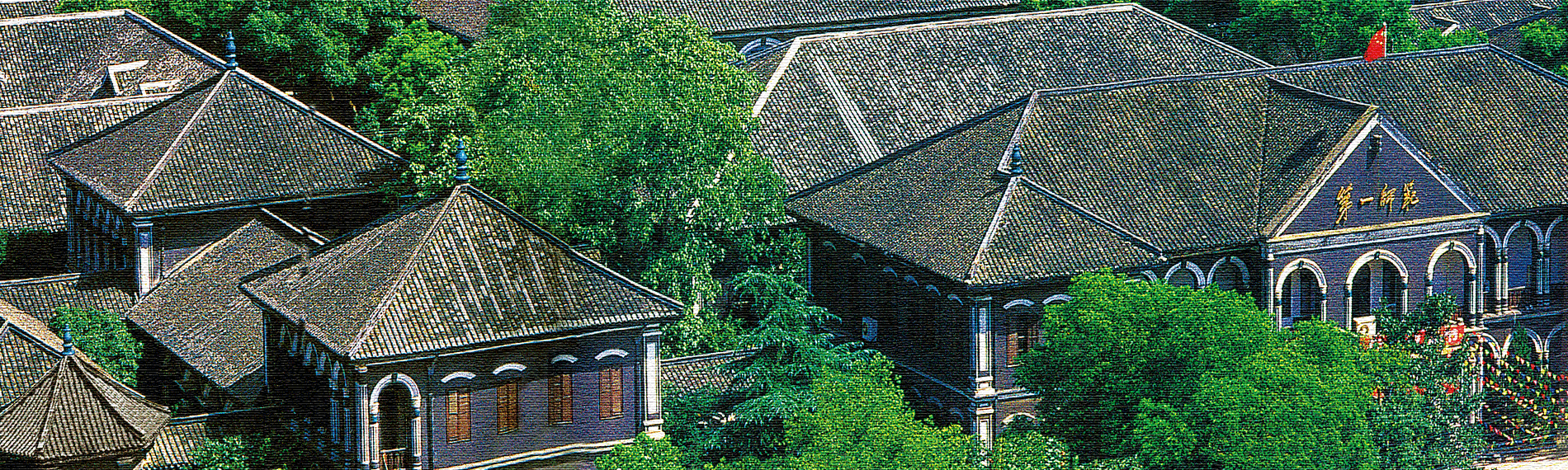 BETVLCTOR伟德在线